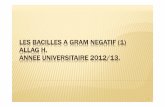 LES BACILLES A GRAM NEGATIF (1) ALLAG H. ANNEE ...univ.ency-education.com/uploads/1/3/1/0/13102001/bacterio3an... · Parasites du TD de l'homme et des animaux