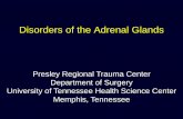 Disorders of the Adrenal Glands - University of of the Adrenal Glands ... â€¢ CT â€“for suspected adrenal