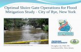 Optimal Sluice Gate Operations for Flood Mitigation Study ... · Optimal Sluice Gate Operations for Flood Mitigation Study ... Avenue Dam site for possible flood control ... Gate