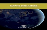 TAPPING INTO NATURE - Terrapin Bright Green · 4 Tapping into nature ABSTRA cT By tapping into billions ... useful to society but are also integral to the global ... • advise on