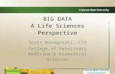 [PPT]PowerPoint Presentation - Colorado State Universityistec.colostate.edu/pdf/activities/BigDataPosters/CSU... · Web viewOmics & Ologies -Life Sciences BIG DATA Omics Genomics,