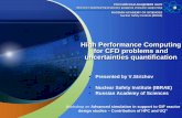 High Performance Computing for CFD problems and ... CFD problems and uncertainties quantification ... transition from laminar to turbulence flow ... NSK Dynamic boiling tests in tubular