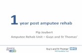 Pip Joubert Amputee Rehab Unit –Guys and St Thomas’ · 2018-06-06 · year post amputee rehab Pip Joubert Amputee Rehab Unit –Guys and St Thomas’ ... • Problems healing