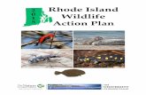 Rhode Island Wildlife Action Plan · RHODE ISLAND WILDLIFE ACTION PLAN EXECUTIVE SUMMARY Executive Summary - 1 Introduction This document is the 10-year revision of Rhode Island’s