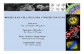 MOLECULAR CELL BIOLOGY CONCENTRATION - .genetics, biochemistry, molecular biology, immunology, and