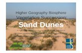 Higher Geography Biosphere Vegetation Succession: …macaulay.webarchive.hutton.ac.uk/soilquality/Dune Succession.pdf · Higher Geography Biosphere Vegetation Succession: Sand Dunes