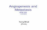 Angiogenesis and Metastasis - Buffalo, NY · Definition of Angiogenesis: ... , cancer cell intravasation and lesser effects of chemotherapy. ... Formation of microthrombus ...