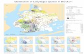 Distribution of Languages Spoken in Brooklyn 11236 11208 11207 11235 11215 11214 11203 11229 11223 11211 11209 11232 11230 11210 11220 11224 11228 11204 11222 …