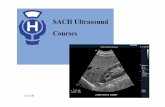 SACH Ultrasound Courses - .: GLESBYGDSMEDICIN :.glesbygdsmedicin.info/Vilhelmina/Forelasningar/SACH_US_2013.pdf · SACH Ultrasound 13-11-09 Vilhelmina ... blighted ovum. Sac 8/52