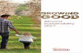 Almond Sustainability 20172520Sustainability...Question-and-answer format modules allow participants to assess their current methods while learning about key best practices across