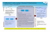 Efﬁcient Codes using Channel Polarizationmedard/pimit/EffrosMayank.pdf · 2009-09-18 · Find Polar Codes or a modiﬁcation to achieve capacity for other types of channel.! Characterize