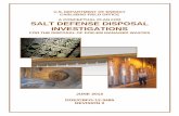 A Conceptual Plan for Salt Defense Disposal Investigations ... · SALT DEFENSE DISPOSAL INVESTIGATIONS FOR THE DISPOSAL OF DOE-EM MANAGED WASTES ... demonstration of placing run-of-mine