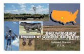 GARDINER ANGUS RANCH Ashland, Kansas U.S.A. Ranch 47,000 acres – Avg. annual rainfall - 18” •Native range 40,000 acres •Wheat 6,000 acres •Alfalfa 1,000 acres Cattle - Gardiner