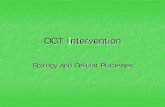OGT Intervention - Biology Building Blocksbioblocks.weebly.com/uploads/8/7/0/6/8706802/notes_-_ogt_ecology.pdf · Disasters: floods, storms, drought, ... Biomagnification – Pollutants