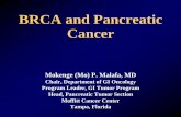 BRCA and Pancreatic Cancer - Facing Our Risk of Cancer ... BRCA and Pancreatic Cancer ... Why screen?