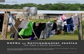 CAFOs and Environmental Justice - Environmental … · 2013-07-02 · CAFOs and Environmental Justice The Case of North Carolina A 182 volume 121 ... several studies have argued that