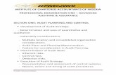 INSTITUTE OF CHARTERED ACCOUNTANTS OF …starrygoldservices.com/ican-aaa.pdfINSTITUTE OF CHARTERED ACCOUNTANTS OF NIGERIA PROFESSIONAL EXAMINATION ONE – ADVANCED AUDITING & ASSURANCE