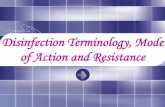 Disinfection Terminology, Mode of Action and .antiseptics and disinfectants â€¢ The mechanism is