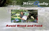 Avoid Weed and Feed - Austin, Texas · Scotts, Lebanon, Ladybug and Purcells. Spread the Word! • TCEQ has provided fact sheets to four Council of Governments ... Slide 1 Author: