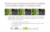 Biochar and compost may both immobilize and …kupfer.julius-kuehn.de/dokumente/upload/6a949_soja1.pdf• AIT Austrian Institute of Technology • University for Natural Resources