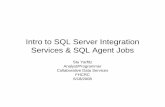 SSIS SQL Server Agent - Fred Hutchcdsweb.fhcrc.org/Downloads/SSIS SQL Server Agent.pdf · Intro to SQL Server Integration Services & SQL Agent Jobs Stu Yarfitz Analyst/Programmer