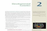 Developmental Genetics - narod.rumugue.narod.ru/supporting_materials/gilbert9e_ch02.pdf · Given this concept, one of the major questions facing biologists of the early twentieth