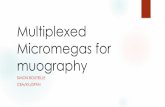 Multiplexed Micromegas for muography - University of Tokyo€¦ · High performance tracker detector ... Electronics development 10. Readout Electronics ... Nano-PC ARM based ...