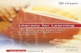 ISBN 0-7794-7429-5 (Print) ISBN 0-7794-7430-9 … and the Gradual Release of Responsibility ..... 39 Flexible Groupings ..... 40 Characteristics of Differentiated Literacy Instruction