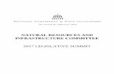 NATURAL RESOURCES AND INFRASTRUCTURE … · NCSL Standing Committee on Natural Resources and Infrastructure ... Rep. Susan Williams Gifford Sen. Anne M. Gobi ... Rep. Bill Pigott