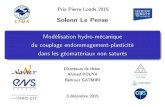 Modélisation hydro-mécanique du couplage … · Prix Pierre Londe 2015 ... d'endommagement et de plasticité. ... Total stress path Damage criteria 20/27.