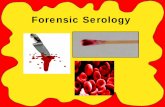 FORENSIC SCIENCE Serologystaff.katyisd.org/sites/0511662/PublishingImages/Pages/default/2014...Chapter 10 Forensic Serology The detection and the classification of various types of