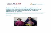 Cultural Beliefs and Perceptions of Maternal Diet and Weight … Maternal... · 2017-12-07 · Pregnancy and Postpartum Family Planning in Egypt Authors: Justine Kavle, ... Dr. Doaa