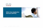Wide Area Application Services (WAAS) - Cisco · Wide Area Application Services (WAAS) ... storage, backup and management Source: IDC, ... Cisco Wide Area Application Services