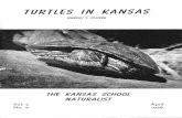 The Kansas TURTLES IN KANSAS - Emporia State … and can be fed table scraps. They should be provided with plenty of water to drink and a spot ... care of captive turtles is given