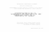 SEROPREVALENCIA DE LA GIARDIASIS EN ESCOLARES DEI UNA COMUNIDAD RURAL DE …biblioteca.ucm.es/tesis/19911996/D/0/D0081901.pdf · 2008-03-03 · Fig.ldllecanismos de transmisión de