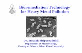 Bioremediation Technology for Heavy Metal Pollutionbiotec.or.th/en/images/stories/news/banner/bioremediation...Bioremediation Technology for Heavy Metal Pollution Dr. Surasak Siripornadulsil