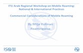 By Milja Hofman Roamingwise - TT Milja Hofman Roamingwise. 2 ... e-Communications Household Survey and Telecom Single Market Survey ... •The EU-roaming revenue stream is …