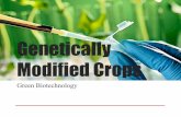 Genetically Modified Crops · GM Crops in the Pipeline Annals of Agricultural and Environmental Medicine 2013, Vol 20, No 3 Marta Kramkowska, Teresa Grzelak, Krystyna Czyżewska.