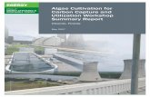 Algae Cultivation for Carbon Capture and Utilization Workshop Summary … · 2017-09-28 · Carbon Capture and Utilization Workshop Summary Report Orlando, Florida ... of the cost
