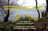 DAFFODILS ARE WHAT THEY EAT: NUTRITIONAL ASPECTS OF SOILS · DAFFODILS ARE WHAT THEY EAT: NUTRITIONAL ASPECTS OF SOILS ... * ―best‖ plant part and stage of growth * avoid unusual