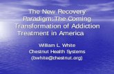 The New Recovery Paradigm:The Coming Transformation of Addiction Treatment … · 2010-06-05 · Transformation of Addiction Treatment in America ... (Donovan, et al, 2001). ... Bill