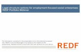 Legal structure options for employment-focused social enterprises: REDF …redf.org/app/uploads/2013/11/REDF-Legal-Structures-for... · 2017-04-11 · Legal structure options for