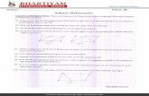 Maths-Winter Assignment-Class-9 - Bhartiyam …bhartiyaminternationalschool.com/TT1/HOLIDAY HOMEWORK-2016/Mat… · Show that PQ divides the llgram in two part of equal area if diagonal