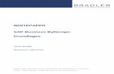 WHITEPAPER SAP Business ByDesign: Grundlagen - DV .SAP Business ByDesign: Grundlagen Julian Bradler