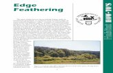 Edge Feathering How-to’s · Edge Feathering Habitat How-to’s 1 The area where two or more habitat types, such as forestland, grassland, or wetland, meet is called edge. In