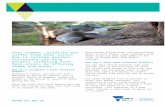 Title - Wildlife - Wildlife · Web viewWildlife and heat stress Community information on how to respond to wildlife suffering from heat exhaustion and dehydration – Summer 2018