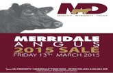 2015 SALE - Merridale Angus - Home · 2015-02-25 · 2015 sale friday 13. th. march 2015. 1pm on property “merridale” tennyson - peter collins 0428 882 209 (1km south of tennyson