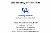 The Beauty of the Skin - University at Buffalorgron/BCH512/skin.pdf · The Beauty of the Skin Rose-Anne Romano, Ph.D Assistant Professor Department of Oral Biology School of Dental