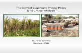The Current Sugarcane Pricing Policy & its Critical Analysis · Sugarcane Pricing Policy ¥! Sugar industry is an important agro Ð based industry ¥! About 50 million Sugarcane farmers