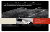Introduction to Endoscopic Ultrasound Fine Needle ... · Introduction to Endoscopic Ultrasound Fine ... for endoscopic ultrasound fine needle aspiration ... Alcohol-fixed slide from